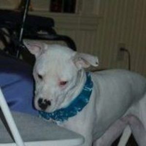 Meet your Posher, Joanne